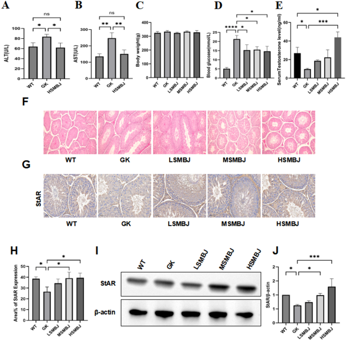 Mechanism of the traditional Chinese medicine SMBJ alleviates diabetes mellitus-induced Leydig cell dysfunction in rats testes – Nature