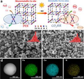Steering artificial photosynthesis via photoinduced conversion of monometallic to bimetallic sites in FeCo nitroprussides – Nature