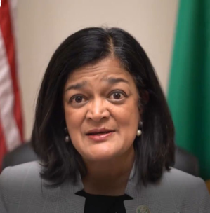 Democratic Lawmakers Urge Meta and Google to End ICE Advertising Partnerships – indianewengland.com