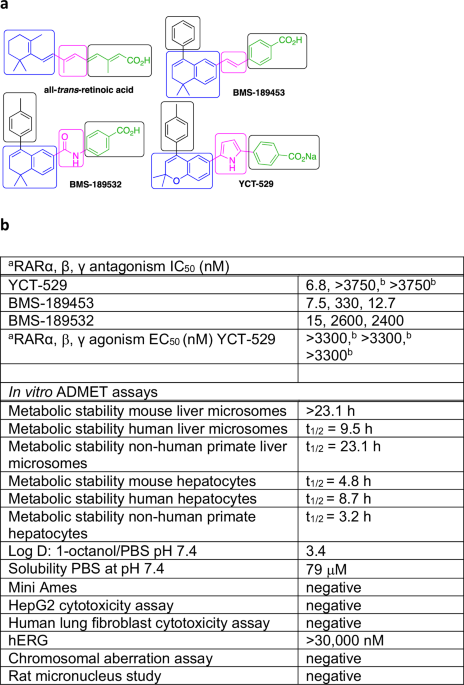 Targeting the retinoid signaling pathway with YCT-529 for effective and reversible oral contraception in mice and primates | Communications Medicine – Nature