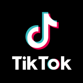 TikTok apresenta Conselho Consultivo de Segurança do Brasil – Newsroom | TikTok