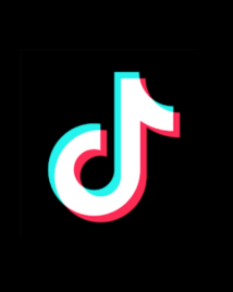 TikTok's new catalog ads target streamers where they actually discover shows – PPC Land