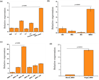 A testis-expressing heme peroxidase HPX12 regulates male fertility in the mosquito Anopheles stephensi – Nature