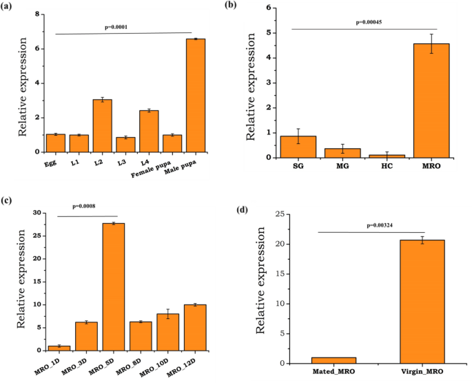 A testis-expressing heme peroxidase HPX12 regulates male fertility in the mosquito Anopheles stephensi – Nature