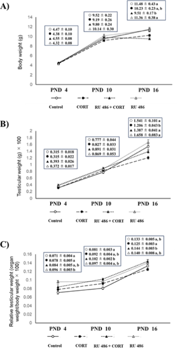 RU 486 blocks inhibitory effect of neonatal corticosterone administration on sertoli cell proliferation in mice – Nature