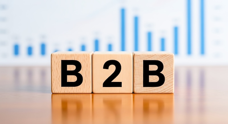 2025 Demand Gen Report Year in Review Special Reports: Master B2B Marketing—Key Insights from 2025 Reports – Demand Gen Report