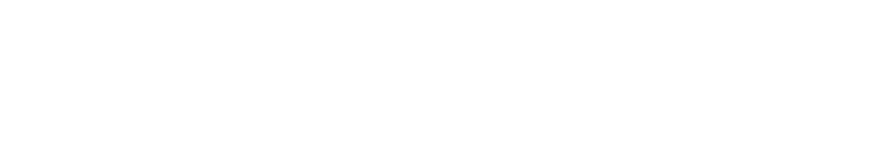 Adam Bolt & the Roas'nears at the 25th Annual Bristol Rhythm & Roots Reunion – Kingsport Times News