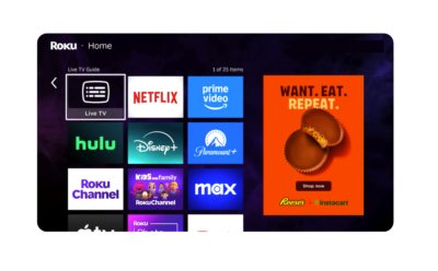 Roku Ad Formats Paired with Instacart First-Party Data Drives 4x ROAS for The Hershey Company – Instacart