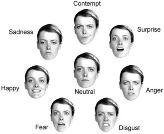 Decoding viewer emotions in video ads – Nature