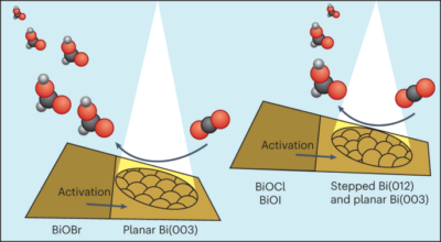 Halide-guided active site exposure in bismuth electrocatalysts for selective CO – Nature